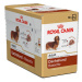 Royal Canin Jezevčík kapsička 12x85 g