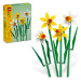 LEGO LEGO® Botanicals 40747 Narcisy