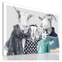 Obraz na plátně GOAT FAMILY IN SWEATERS - motiv E různé rozměry Ludesign ludesign obrazy: 100x70