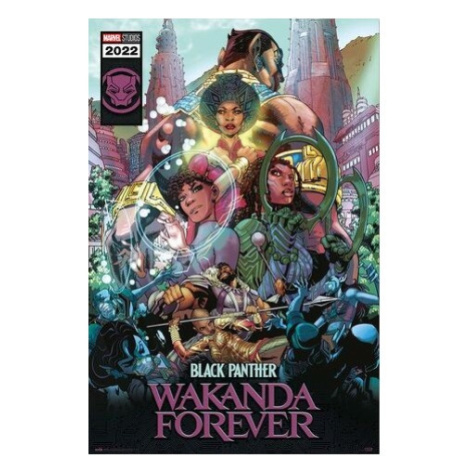 Plakát Black Panther: Wakanda Forever (202) Europosters