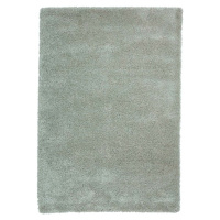 Světle zelený koberec 120x170 cm Sierra – Think Rugs