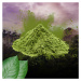 Kratom Natural Green (zelený) - prášek z listů gramáž: 500g