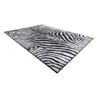 Kusový koberec Miro 51331.803 Zebra black / white 120x170 cm