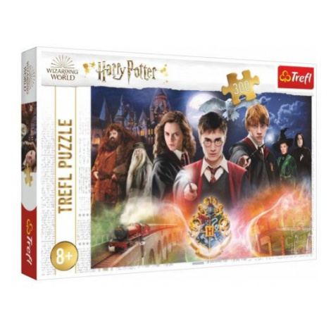 Puzzle Tajemství Harry Potter 300dílků 60x40cm v krabici 40x27x4cm