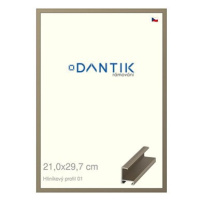 DANTIK rámeček 21 × 29,7, ALU profil 6001 champagne sklo čiré