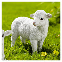 Stojící ovečka