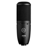 AKG Perception 120