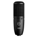 AKG Perception 120