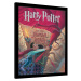 Obraz na zeď - Harry Potter - Tajemná Komnata