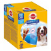 Pedigree DentaStix pro středně velké psy 105 kusů (15 × 7)