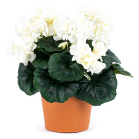 Umělá květina Muškát v květináči bílá, 26 x 10 x 10 cm