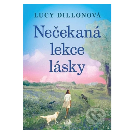 Nečekaná lekce lásky - Lucy Dillon - kniha z kategorie Beletrie pro děti Cosmopolis