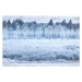 Fotografie Hoar frosted trees in Jackson, Wyoming,, David Clapp, 40x26.7 cm