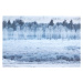 Fotografie Hoar frosted trees in Jackson, Wyoming,, David Clapp, 40 × 26.7 cm