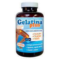 Gelatina Plus cps.360