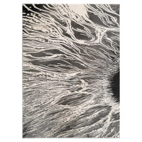Berfin Dywany Kusový koberec Elite 8752 Grey - 80x150 cm