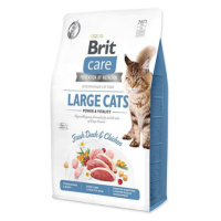 BRIT Care Cat Grain-Free Large cats Power & Vitality 2 kg