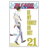 Bleach 21