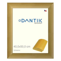 DANTIK rámeček 40 × 50, RENÉ přírodní sklo čiré