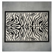 Kusový koberec Zebra black/white 120x170 cm