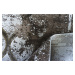 Berfin Dywany Kusový koberec Creante 19148 Beige - 200x290 cm