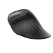 TRUST ergonomická vertikální myš Verro Wireless Ergonomic Mouse, black