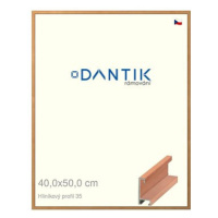 DANTIK rámeček 40 × 50, ALU profil 6035 Dýha třešeň sklo čiré