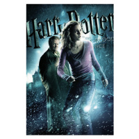 Umělecký tisk Harry Potter and The Half-Blood Prince - Hermione, 26.7x40 cm