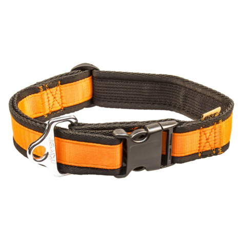 BF Nylonový obojek - popruh žlutý Velikost: 43 až 74 cm / 40 mm