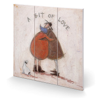 Dřevěný obraz Sam Toft - A Bit of Love, (30 x 30 cm)