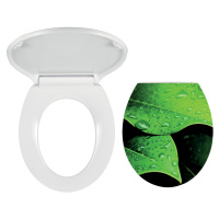 Novaservis WC sedátko, duroplast bílá, panty tvrzený plast (WC/SOFTNATURE)