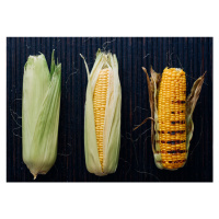 Fotografie FOODprocess #1- Grilled corn, Aleksandrova Karina, 40 × 26.7 cm