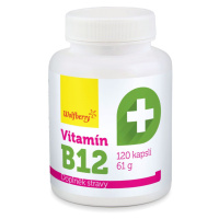 Wolfberry Vitamín B12 120 kapslí