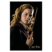 Umělecký tisk Harry Potter - Hermione Granger portrait, (26.7 x 40 cm)