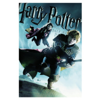 Umělecký tisk Harry Potter and The Half-Blood Prince - Quiditch, 26.7x40 cm