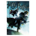 Umělecký tisk Harry Potter and The Half-Blood Prince - Quiditch, 26.7 × 40 cm