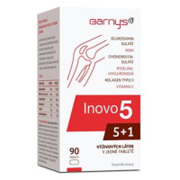 Barny's Inovo5 90 tablet