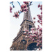 Plakát, Obraz - Paris - Eiffel Tower, (80 x 120 cm)