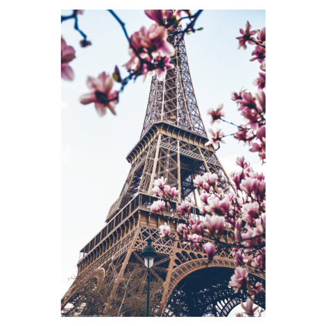 Plakát, Obraz - Paris - Eiffel Tower, (80 x 120 cm)