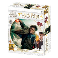 3D Puzzle Harry Potter - Harry, 300 dílků