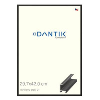 DANTIK rámeček 29,7 × 42, ALU profil 6001 Černý matný plexi čiré