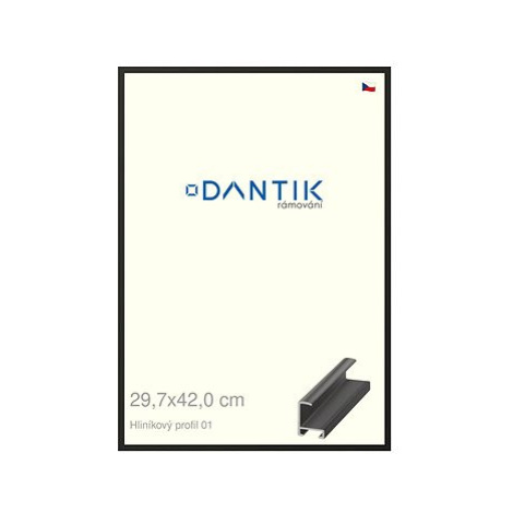 DANTIK rámeček 29,7 × 42, ALU profil 6001 Černý matný plexi čiré