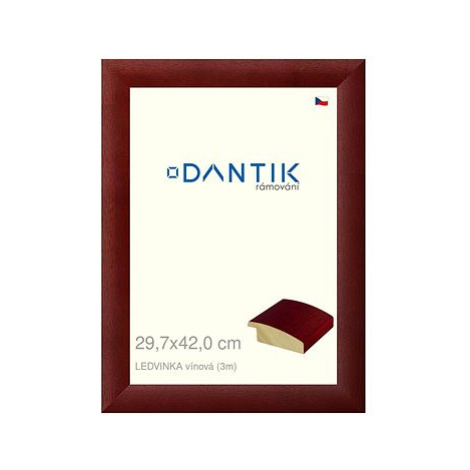 DANTIK rámeček 29,7 × 42, LEDVINKA vínový plexi čiré