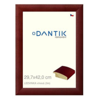 DANTIK rámeček 29,7 × 42, LEDVINKA vínový plexi čiré