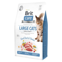 Brit Care Cat GF Large cats Power&Vitality 2kg