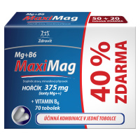 MaxiMag Hořčík 375mg+B6 40% ZDARMA 70 tobolek