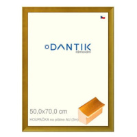 DANTIK rámeček 50 × 70, HOUPAČKA na plýtno AU plexi čiré