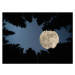 Fotografie Full super moon over forest, Jasmin Merdan, (40 x 30 cm)