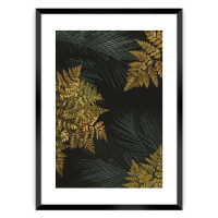 Dekoria Plakát Golden Leaves II, 50 x 70 cm, Zvolit rámek: Černý