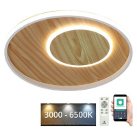 LED Stmívatelné stropní svítidlo LED/65W/230V 3000-6500K hnědá +dálkové ovládání